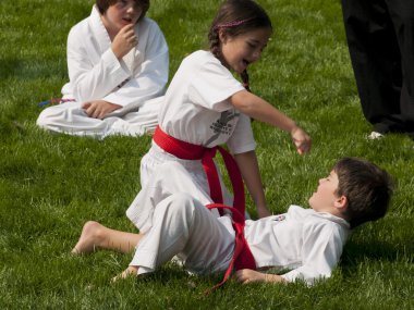 Taekwondo