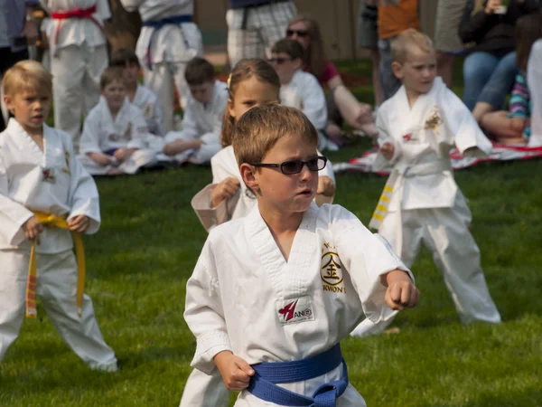 Taekwondo — Stockfoto