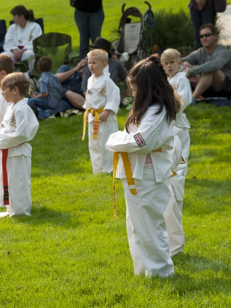 Taekwondo — Fotografia de Stock
