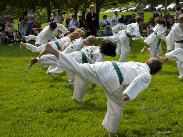 Stock image TaeKwonDo