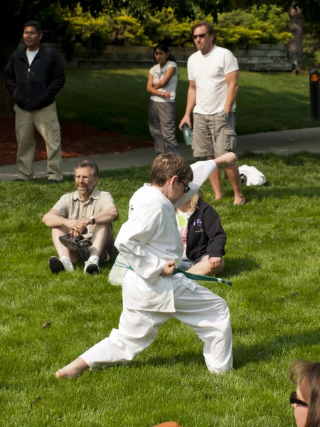 stock image TaeKwonDo