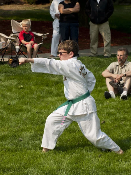 stock image TaeKwonDo