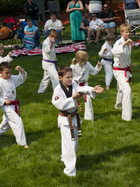 Taekwondo — Fotografia de Stock