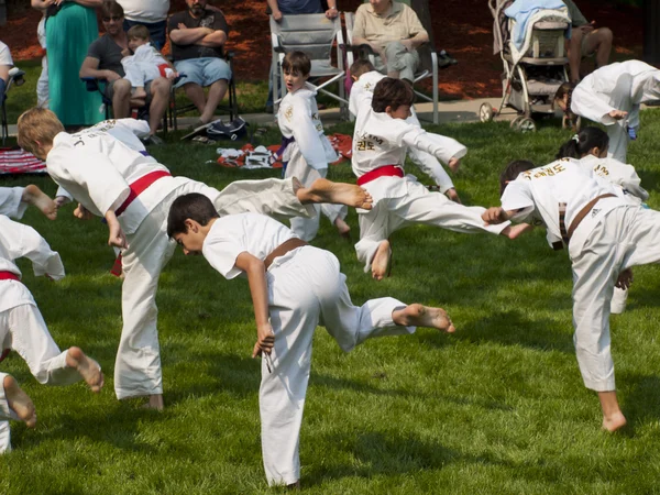 Stock image TaeKwonDo