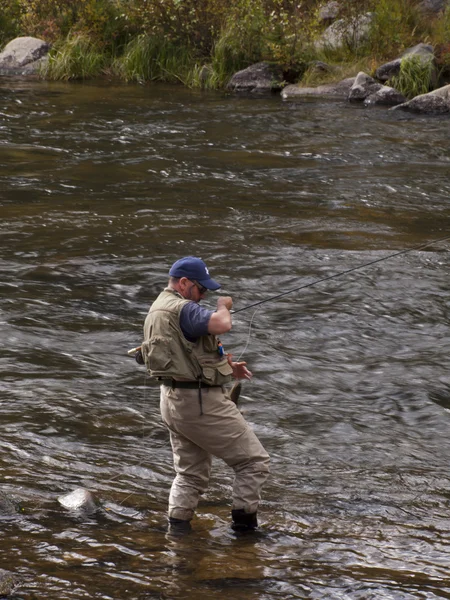 stock image Fly Fisherman