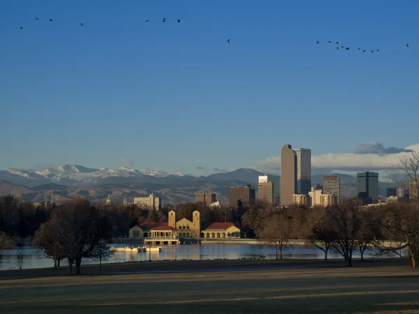 Mile High City of Denver — Stock Photo, Image