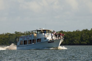 Tour Boat clipart