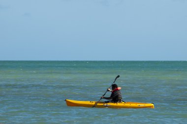 Kayak