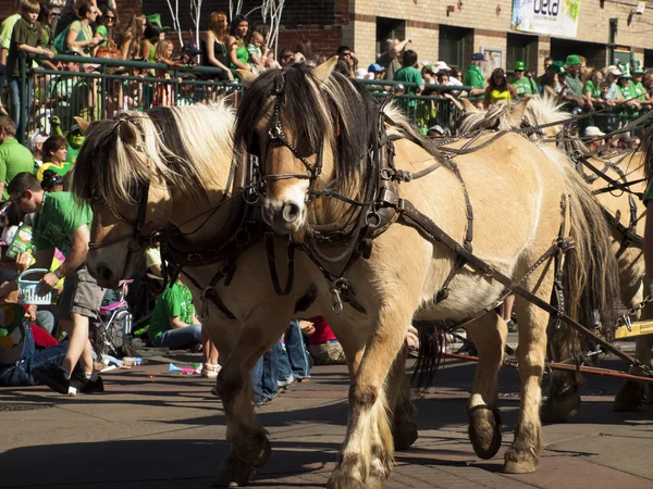 De St Patrick dag Parade — Stockfoto