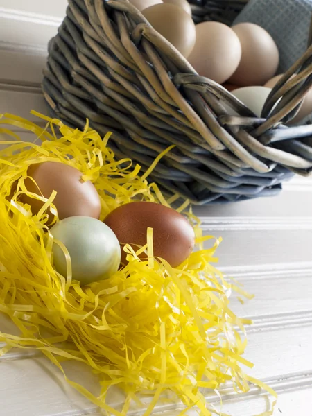 stock image Eggs