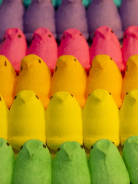 Marshmallow Chicks — Stock Photo, Image