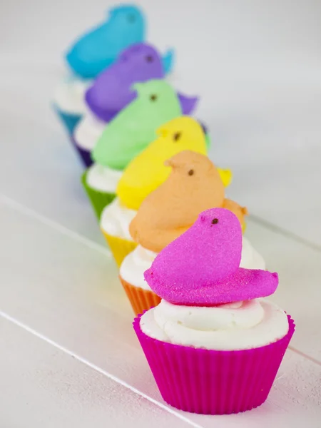 Pasen cupcake — Stockfoto