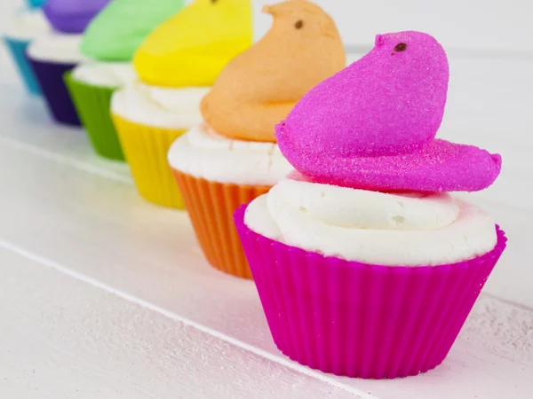 Stock image Easter Cupcake