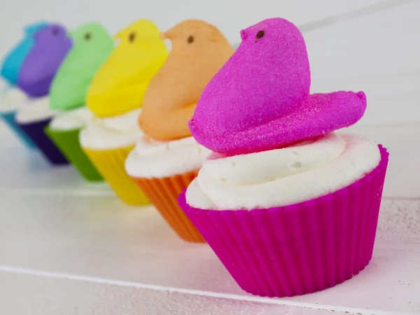 stock image Easter Cupcake