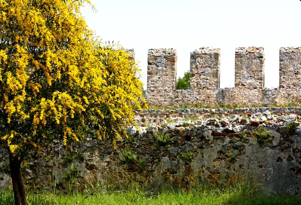 Oude berg kasteel muur. Turkije alanya — Stockfoto