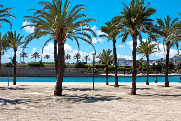 Palma de Mallorca. Middellandse-Zeegebied. Spanje — Stockfoto
