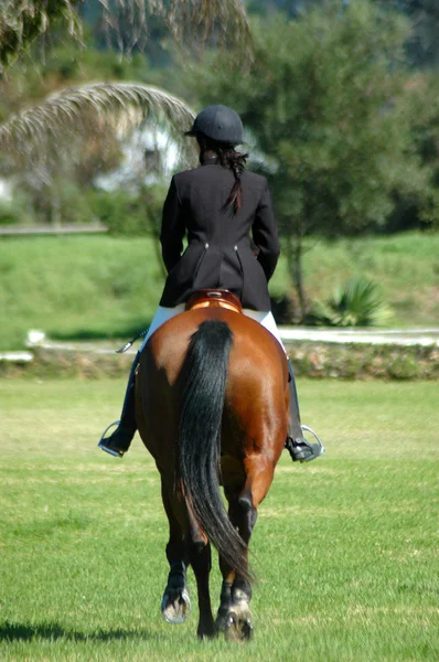 Cavaleiro de cavalo — Fotografia de Stock