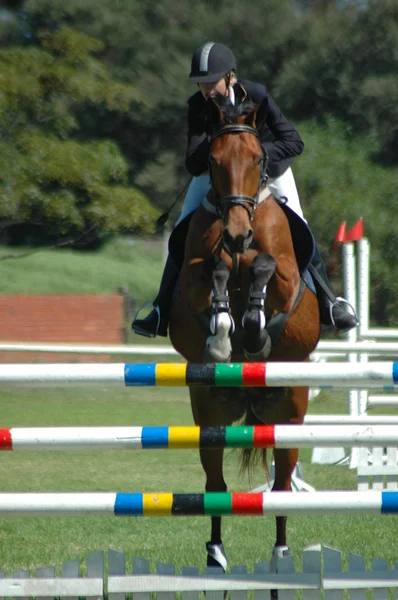 Cavaliere equitazione e salto — Foto Stock