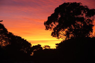 African sunrise - sunset clipart