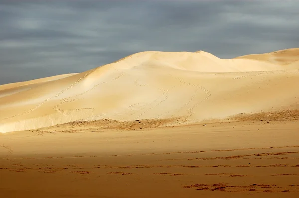Dune di sabbia bianca — Foto Stock