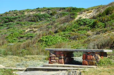 Bench in nature clipart