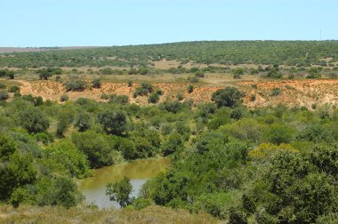 Afrika doğa sahne