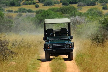 On safari in Africa clipart