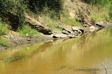 Bushman's River, South Africa clipart