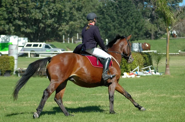 Häst ridning sport — Stockfoto