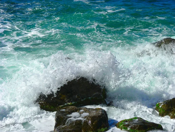 Havets skjønnhet. . – stockfoto