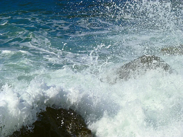 Havets skjønnhet. . – stockfoto
