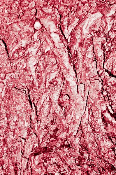 stock image Tree bark red-pink