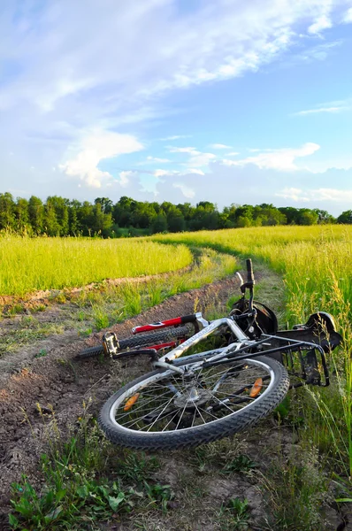 stock image Road of the traveler