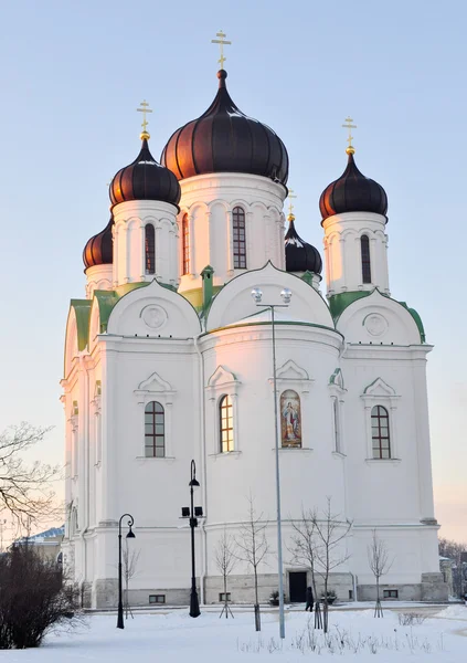 Kostel v Puškin — Stock fotografie
