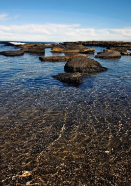 güneşli bir gün seashore tarafından