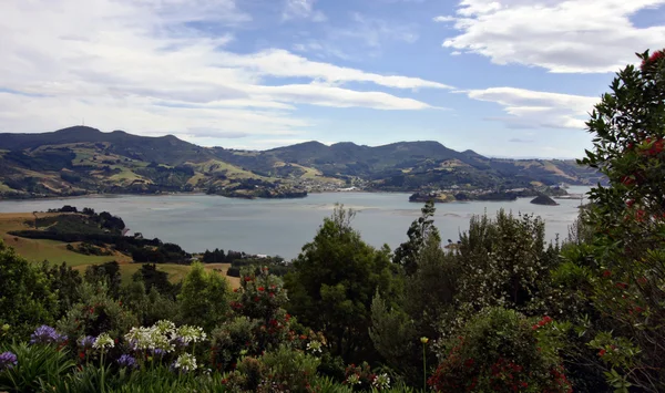 Vista costera de Dunedin Pennisula en Nueva Zelanda — Foto de Stock