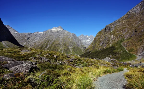ミルフォード ・ サウンドのロードに沿ってニュージーランド山 — ストック写真