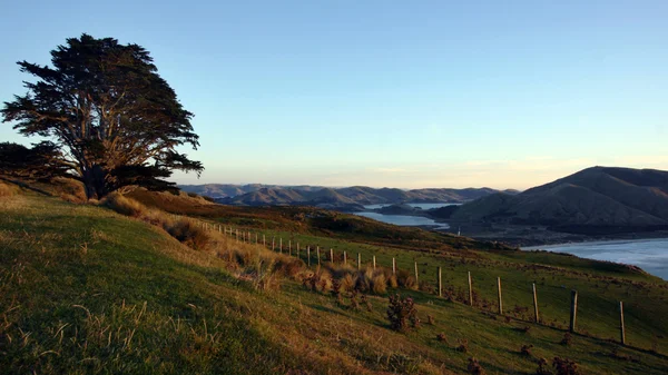 Panorama del paisaje costero de Hoopers Inlet en el Otago — Foto de Stock