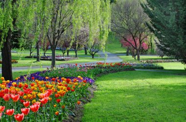 Garden park in springtime clipart