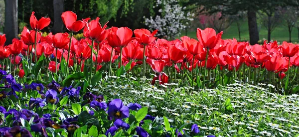 Parque de jardín en primavera Imagen De Stock