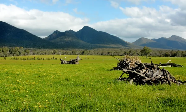 Nationalparken grampians i victoria, Australien — Stockfoto