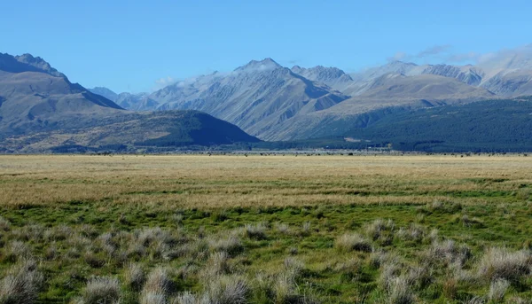 Monte Cook en Nueva Zelanda en un día azul — Foto de Stock