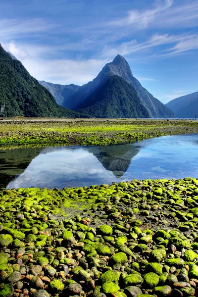 Fjordy Nowa Zelandia w milford sound — Zdjęcie stockowe
