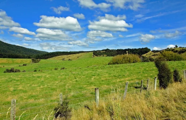 Horská krajina na Novém Zélandu — Stock fotografie