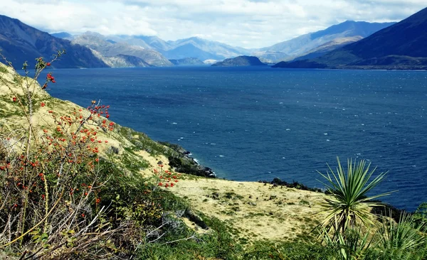 ニュージーランドの南の島 — ストック写真