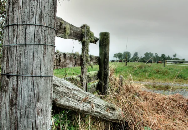 stock image Wooden Fence