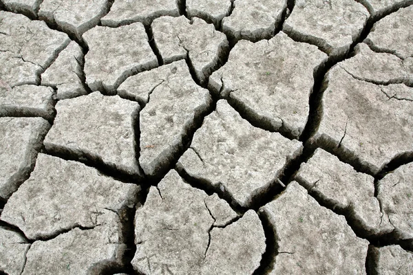 stock image Drought Stricken Landscape