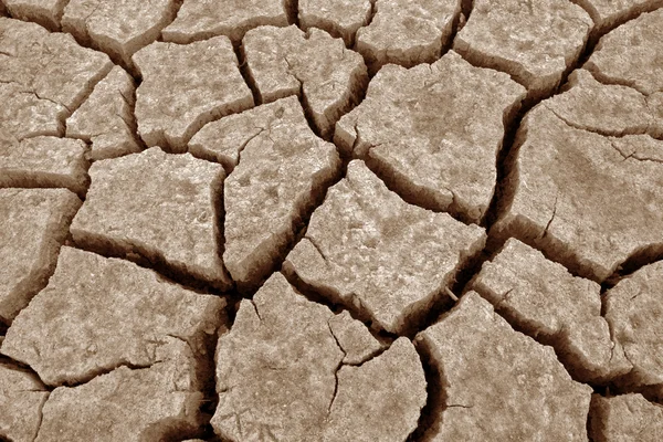 Drought Landscape — Stock Photo, Image