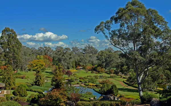 stock image Japanese Garden