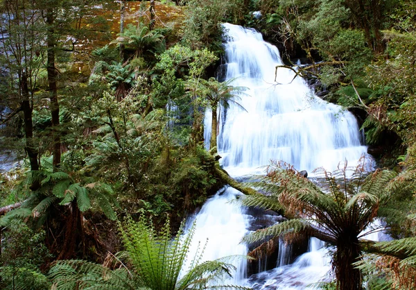 Triola falls, otway národní park, Austrálie Royalty Free Stock Fotografie